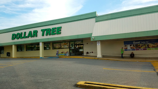 Dollar Store «Dollar Tree», reviews and photos, 4811 Edgmont Ave, Brookhaven, PA 19015, USA