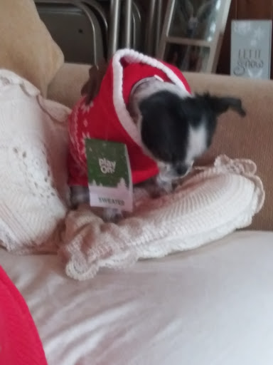 Pet Supply Store «Pet Supplies Plus», reviews and photos, 6030 Central Ave Suite A, Portage, IN 46368, USA