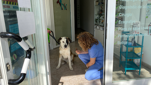 Hospitales y veterinarios de urgencia en Canovelles de 2024