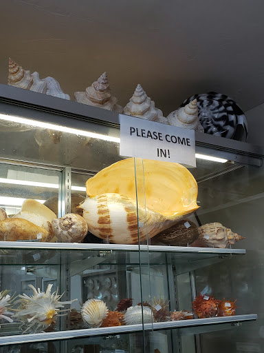 Gift Shop «Sanibel Seashell Industries», reviews and photos, 1544 Periwinkle Way, Sanibel, FL 33957, USA