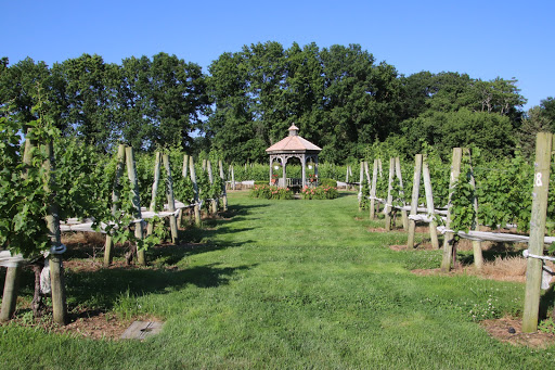 Winery «Diliberto Winery», reviews and photos, 250 Manor Ln, Riverhead, NY 11901, USA