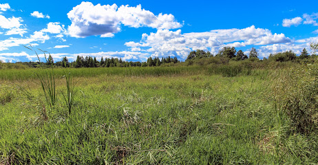 White River Sedge Meadow State Natural Area