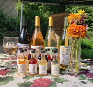 Winery «Three Oaks Vineyard LLC», reviews and photos, 1591 Crosley Rd, Granville, OH 43023, USA
