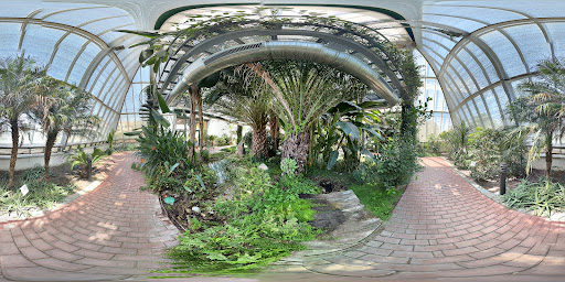 Street View y 360°