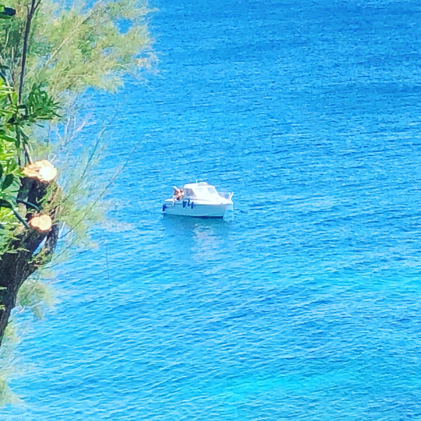 Photo n° 21 de l'avis de lou.o fait le 16/06/2019 à 15:02