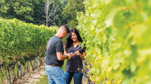 Winery «M Cellars», reviews and photos, 6193 S River Rd W, Geneva, OH 44041, USA