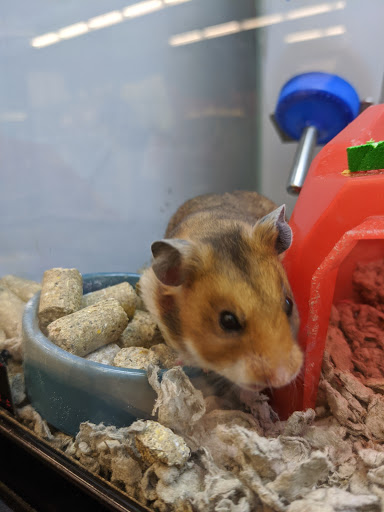 Pet Supply Store «Petco Animal Supplies», reviews and photos, 8800 Tampa Ave, Northridge, CA 91324, USA