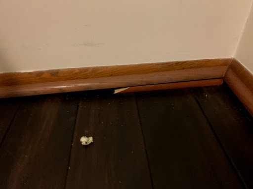 Flooring Store «Lumber Liquidators, Inc.», reviews and photos, 3000 John Deere Rd, Toano, VA 23168, USA