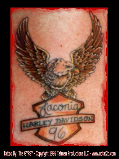 Find bird tattoo idea for your next unique tattoo in Topeka at Artist Alley Studio Tattoos & Piercings