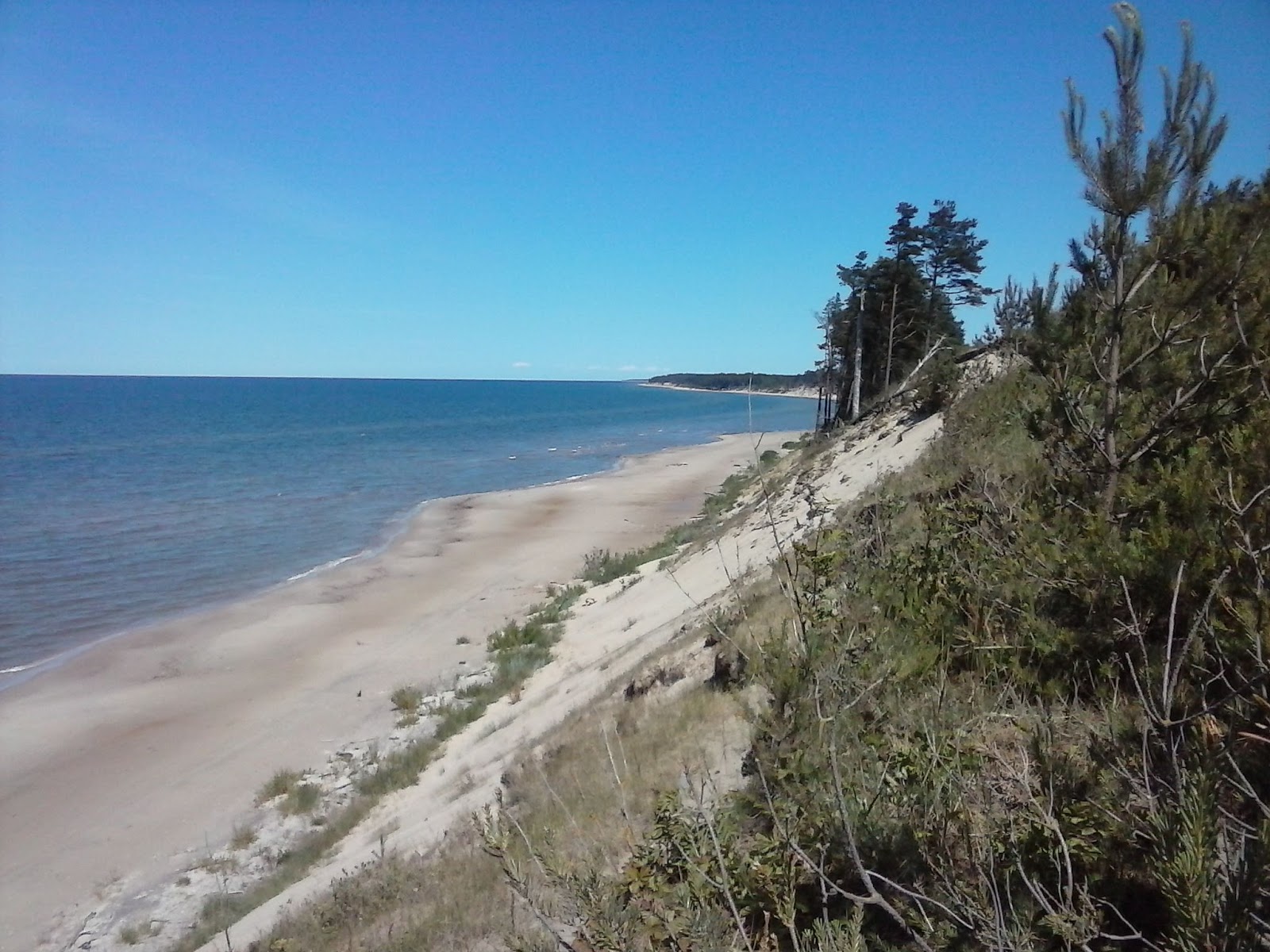 Photo of Parventas pludmale wild area