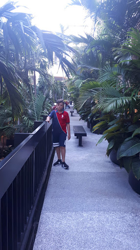 Clothing Store «Neiman Marcus», reviews and photos, 9700 Collins Ave, Bal Harbour, FL 33154, USA