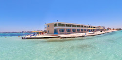Photo de Suez Canal Authority Camp Beach zone de l'hôtel