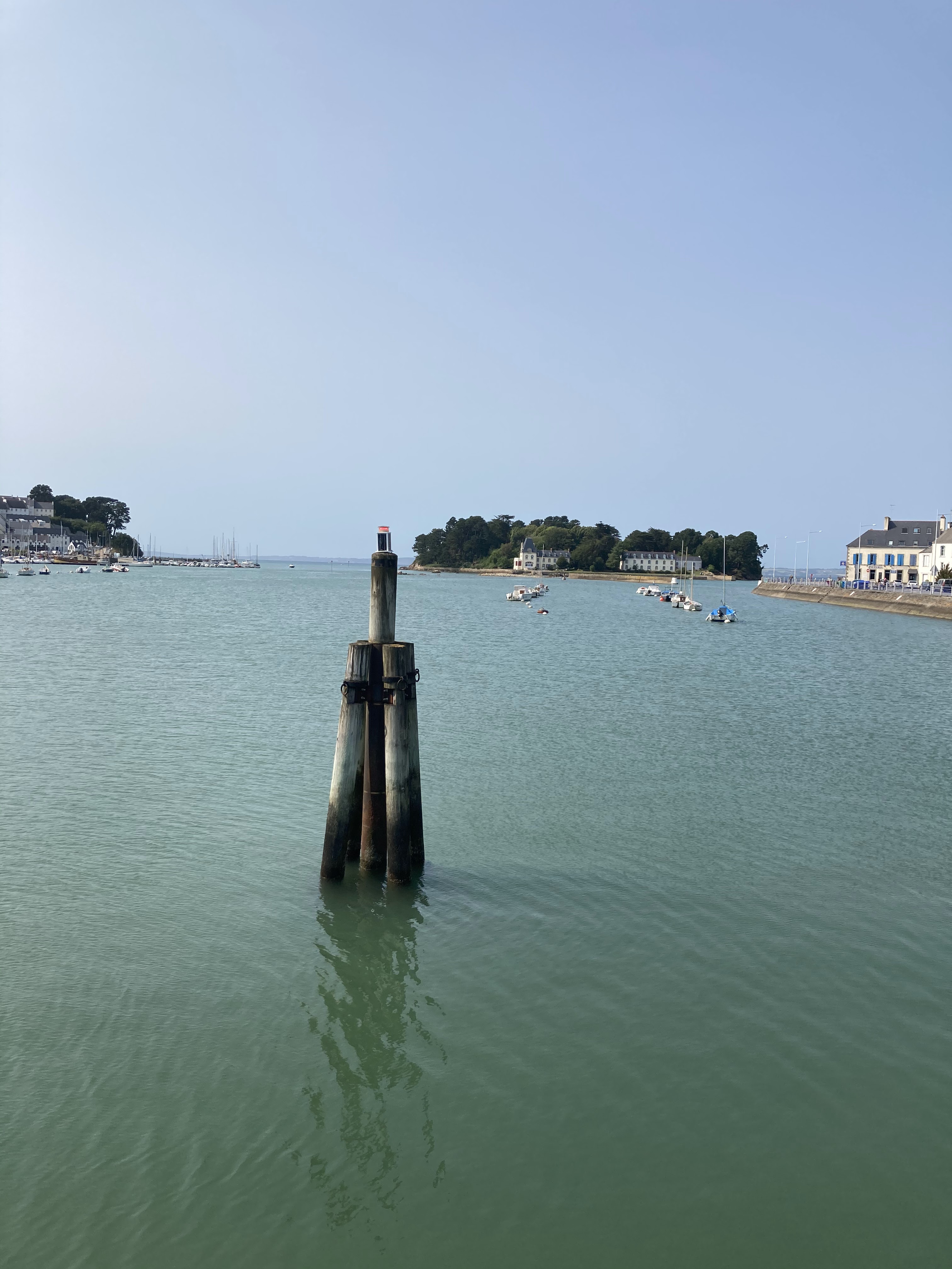 Photo n° 5 de l'avis de Franck.e fait le 22/06/2020 à 20:27