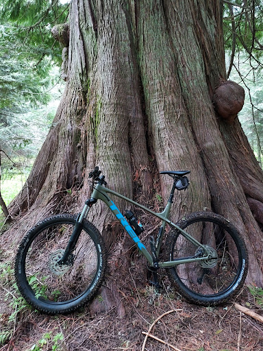 Bicycle Repair Shop «The Bike Shoppe», reviews and photos, 4390 Washington Blvd, Ogden, UT 84403, USA