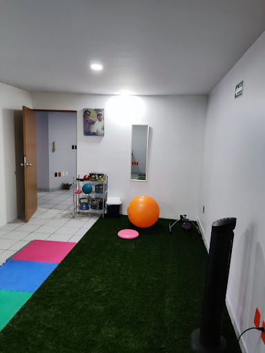 Rehabilitation and physiotherapy centres Toluca de Lerdo