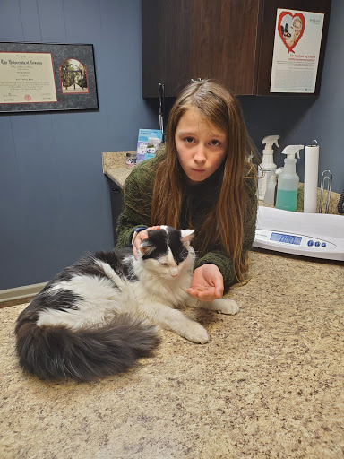 Somerville Animal Hospital