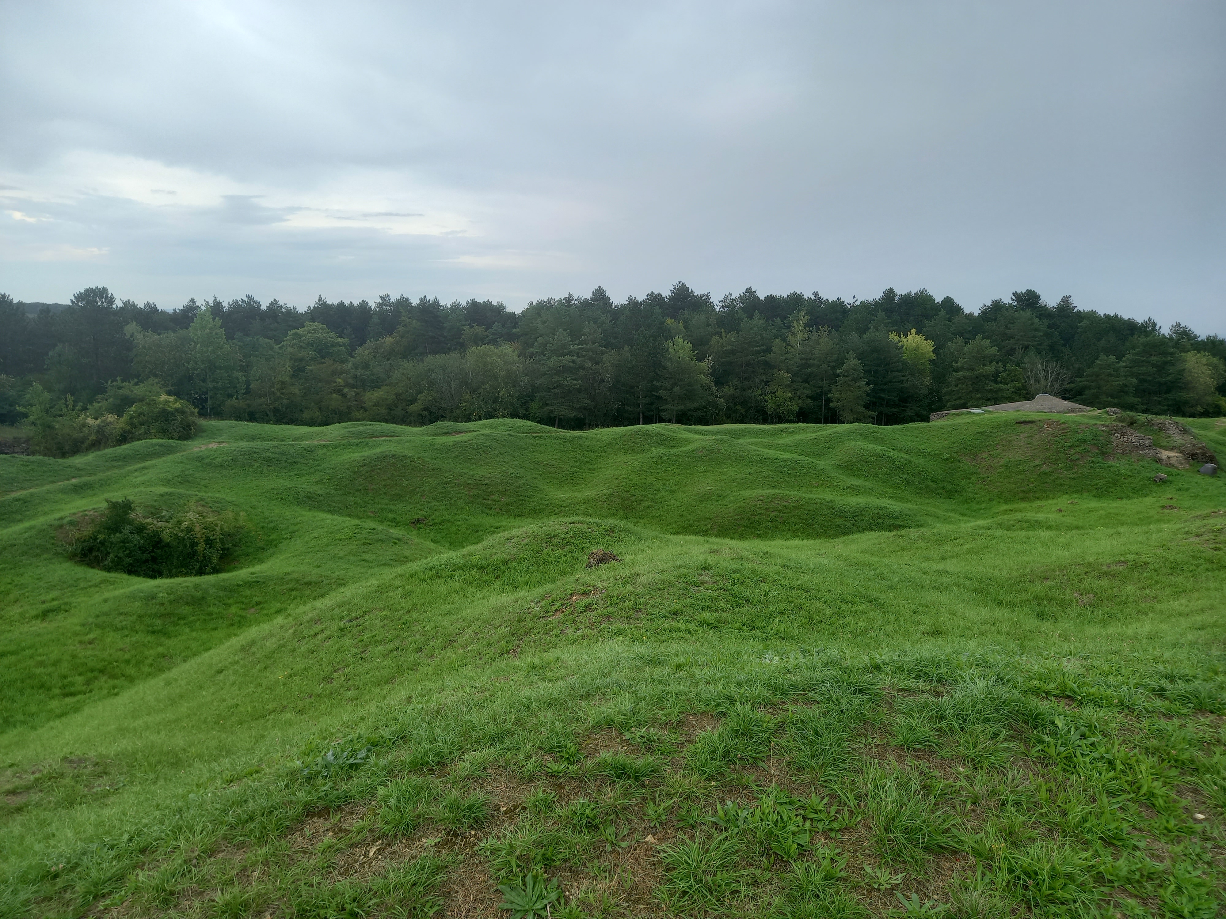 Photo n° 3 de l'avis de alsac.e fait le 20/08/2023 à 21:45