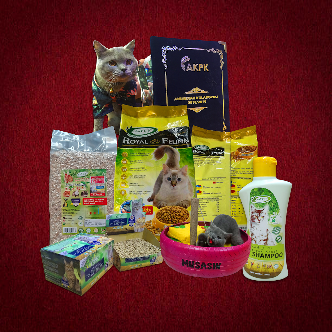 Mycats Malaysian Cat School Sekolah Kucing Malaysia Atas Klinik Haiwan Ecovet Di Bandar Klang