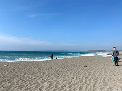 Long Beach'in fotoğrafı vahşi alan