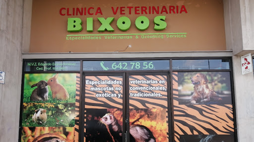 Bixoos. Especialidades Veterinarias en mascotas no convencionales.