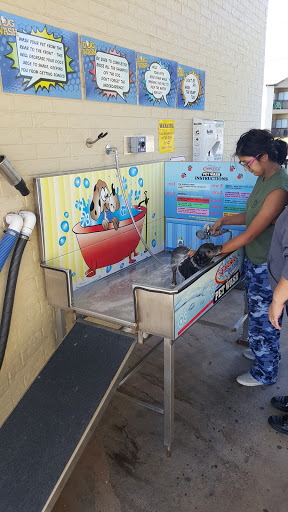 Self Service Car Wash «Scrubbys Car And Dog Wash», reviews and photos, 303 Thousand Oaks Blvd, Georgetown, TX 78628, USA