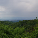 Photo n°10 de l'avis de Fabiola.a fait le 01/05/2022 à 19:17 sur le  Antica Trattoria Moreieta 1890 à Arcugnano