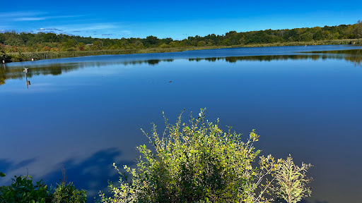 Nature Preserve «The Celery Farm», reviews and photos, Franklin Turnpike, Allendale, NJ 07401, USA