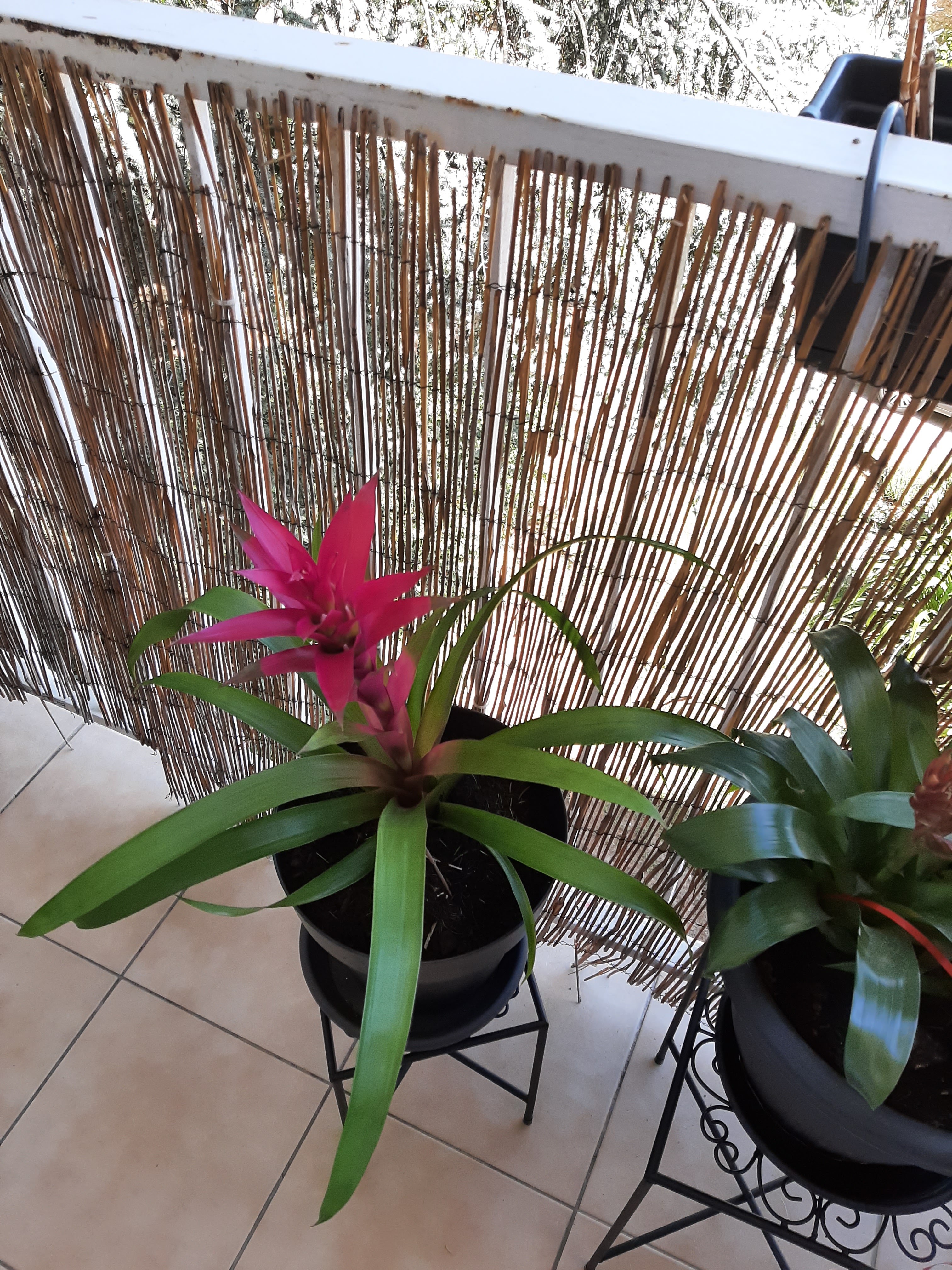 Photo n° 20 de l'avis de hélène.a fait le 05/09/2019 à 08:08