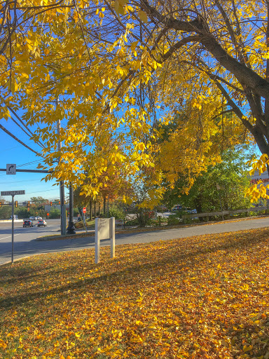 Amusement Center «Sky Zone Trampoline Park», reviews and photos, 10 Conchester Rd, Glen Mills, PA 19342, USA
