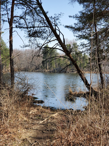 Nature Preserve «Reinstein Woods Nature Preserve», reviews and photos, 93 Honorine Dr, Depew, NY 14043, USA