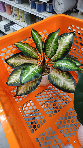 Discount Store «Big Lots», reviews and photos, 5640 Dixie Hwy, Waterford Twp, MI 48329, USA