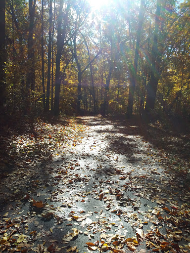 Nature Preserve «Eliason Nature Reserve», reviews and photos, 9501 Shaver Rd, Portage, MI 49024, USA