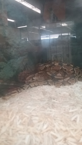 Pet Supply Store «Petco Animal Supplies», reviews and photos, 850 Statler Blvd, Staunton, VA 24401, USA