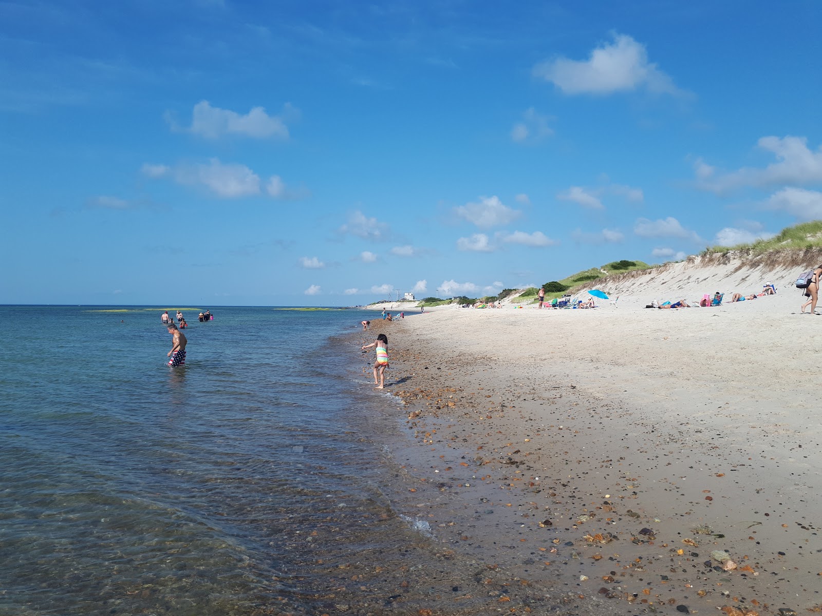 Fotografija Chapin Memorial beach z svetel pesek površino