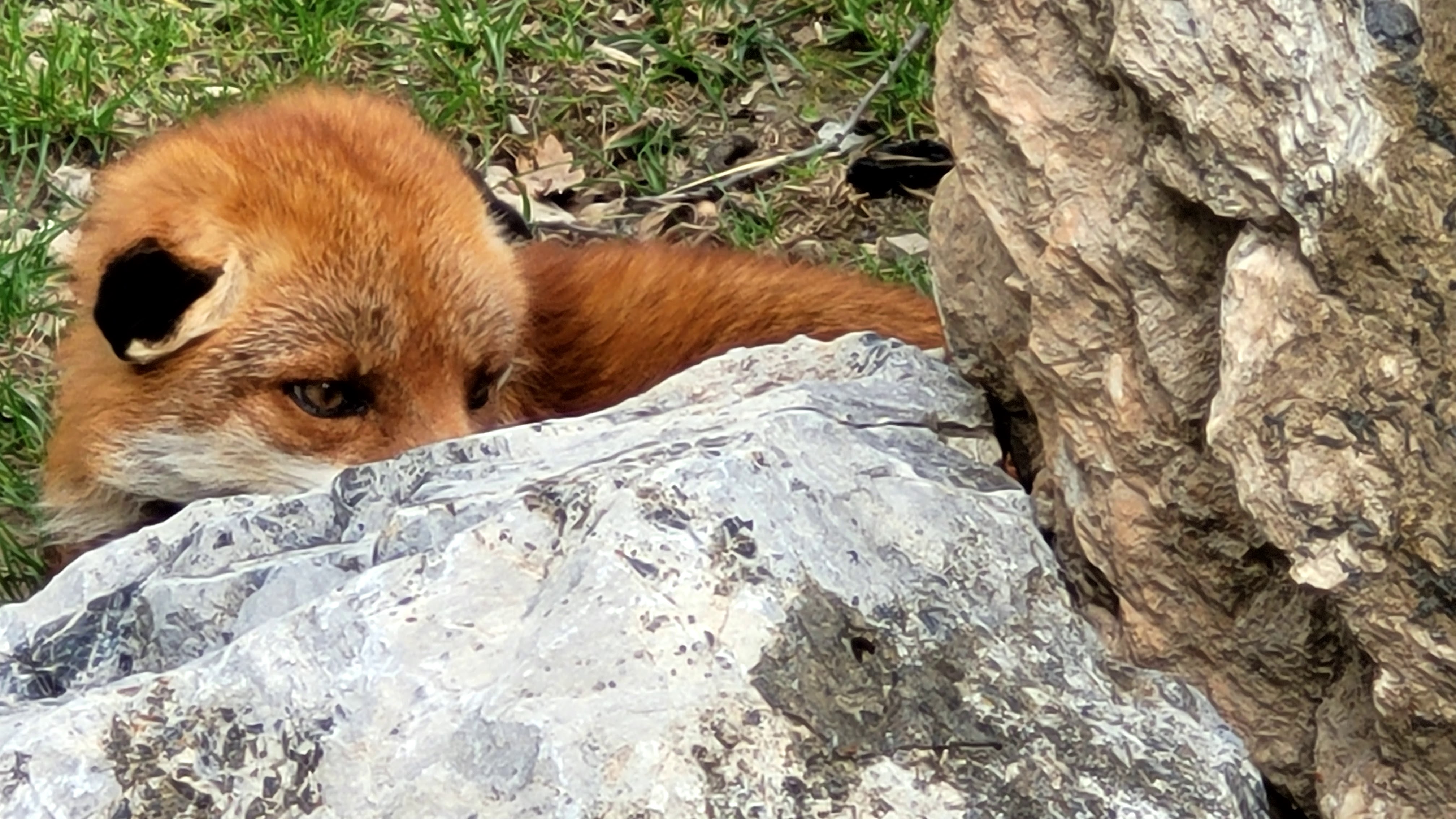 Photo n° 36 de l'avis de PASSIONS.O fait le 24/05/2023 à 09:56