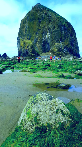 Tourist Attraction «Haystack Rock», reviews and photos, US-101, Cannon Beach, OR 97110, USA