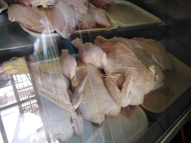 Opiniones de Avícola en Maipú - Carnicería