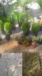 Floricultura e Jardinagem Roda d'água (SANTA CÂNDIDA)