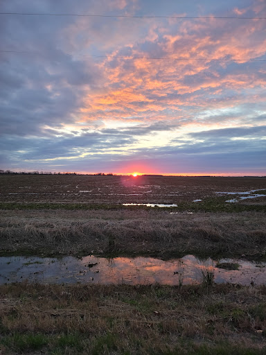 Furniture Store «Ashley HomeStore», reviews and photos, 1174 Pulaski Hwy, Bear, DE 19701, USA