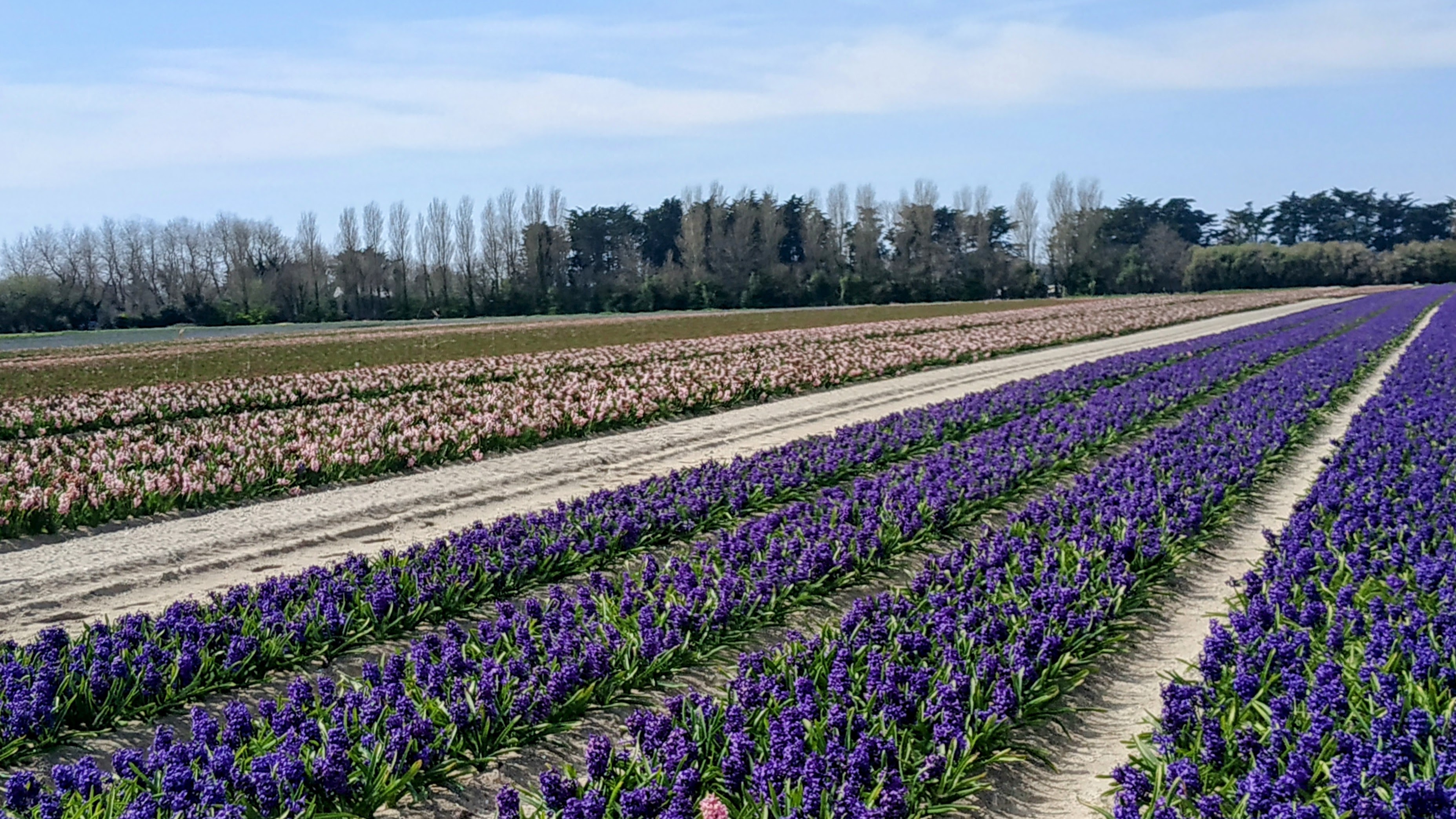 Photo n° 35 de l'avis de The.a fait le 05/04/2023 à 21:57