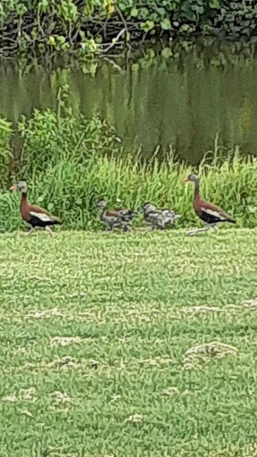 Golf Course «Indian Hills Golf Course», reviews and photos, 1600 S 3rd St, Fort Pierce, FL 34950, USA