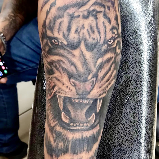 Explore snail tattoo ideas, creative tattoo ideas in San Diego, available at SD Tattoo