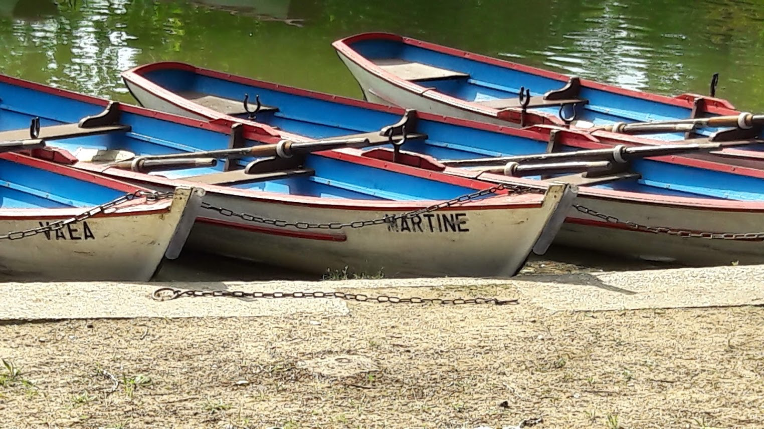 Photo n° 2 de l'avis de Françoise. fait le 27/08/2019 à 08:25