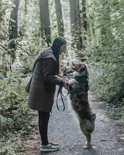 West Coast Canine Connections - Dog trainer