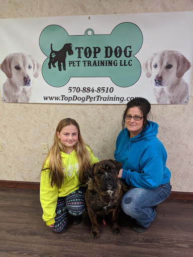 Top Dog Pet Training, LLC