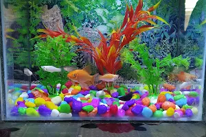 Ganga Fish Aquarium image