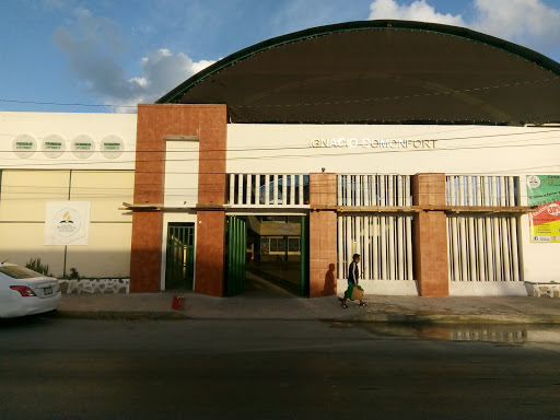 Centro educativo Ignacio comonfort