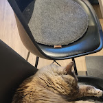 Photo n°3 de l'avis de Hannes.u fait le 16/03/2024 à 11:59 sur le  Katzentempel Hamburg Hafencity à Hamburg