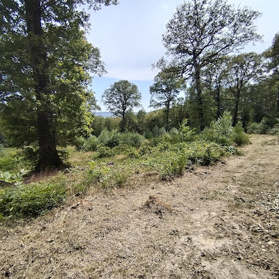 Parcours De Santé à Hautvillers