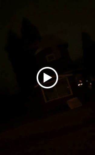 Florist «Tulipomania LLC», reviews and photos, 319 E Howard Ave, Milwaukee, WI 53207, USA